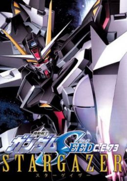 Image Mobile Suit Gundam Seed C.E.73: Stargazer