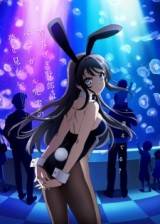 Image Seishun Buta Yarou wa Bunny Girl Senpai no Yume wo Minai